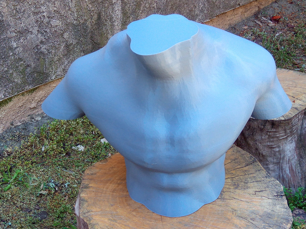 Upper Torso for EveryThang3D Life-Size 4.5' Tall Area 51 