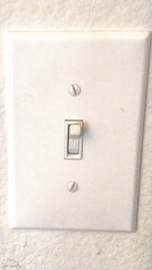 Light Switch Dome Cover (Outdoor) - Prevents Turning On or Off by Accident - Useful for Alexa Smart Devices - Home Improvement - EveryThang3D
