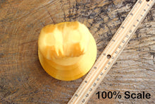 Load image into Gallery viewer, You Got Balls Award Trophy (Single Color) - Oscars Ballz - Movie Academy Entertainment Industry Inspiration - Sweaty Hardworker Reward